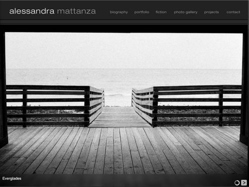 Web Design & Web Development Portfolio